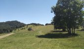 Tocht Stappen Wegscheid - Circuit des Rochers - Photo 12