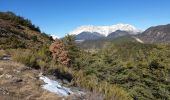 Trail Walking Châteauneuf-d'Oze - Crête de la Brunelle - Photo 1