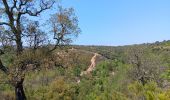 Tocht Stappen Vivès - mme sentier de Vives  - Photo 7