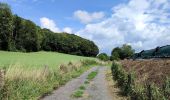 Tocht Stappen Pepinster - La promenade de Tribomont  - Photo 4