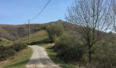 Excursión Senderismo Ainhoa - Errebi boucle depuis carrière Ainhoa  - Photo 5