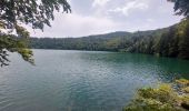 Trail Walking Besse-et-Saint-Anastaise - Tour des lac Bourdouze, Pavin et Montcyneire - Photo 7