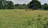 Tocht Hybride fiets Le Teich - Le Teich - Photo 1