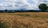 Tour Wandern Hohenfels - Houffalize 270622 - Photo 14
