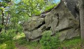 Trail Walking Oncy-sur-École - Oncy-sur-École - Grotte aux Fées  - Photo 13