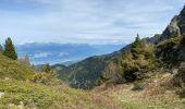 Trail Walking Revel - Lac du Crozet - Photo 9