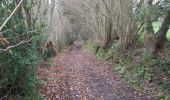 Trail Walking Cormeilles - cormeilles - Photo 17