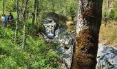 Tour Wandern La Chapelle-en-Valgaudémar - navettes la chapelle - Photo 13