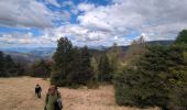 Tocht Stappen Bayons - chemin du lac des Monges au sommet - Photo 19