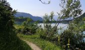 Trail Walking Ayent - Le rawil - Photo 2