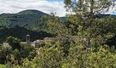 Trail Walking Saint-Germain-de-Calberte - Stevenson St Germain de Calberte  le col St pierre - Photo 1