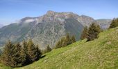 Randonnée Marche Lavaldens - tête de barbalon - Photo 10