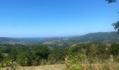 Tocht Elektrische fiets Muret-le-Château - Villecomtal dans le 12 - Photo 2