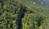 Tour Wandern Villard-Saint-Sauveur - 39 Villard St Sauveur - cascades de. flumen-saut du chien - Photo 1