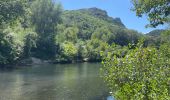 Trail Walking Méjannes-le-Clap - Camping Genèse, Grotte de la salamandre retour camping - Photo 5