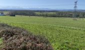 Randonnée Marche nordique Momas - MOMAS Reco chemin de l aubiosse 