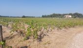 Percorso Mountainbike Mormoiron - Chemin des Vendanges - Photo 2