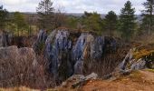 Tour Wandern Viroinval - Promenade vers le Fondry des chiens  - Photo 9