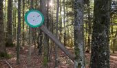 Trail Walking Plancher-les-Mines - 130722 - La planche des belles - au pieds du Ballons d’Alsaces - Photo 10