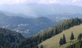 Trail On foot Gemeinde Spital am Semmering - Semmering - Sonnwendstein über Dürrgraben - Photo 4