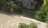 Trail Walking La Palud-sur-Verdon - sentier blanc Martel depuis Chalet les Malines - Photo 9