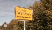 Tour Zu Fuß Walldürn - Biotoplehrpfad Walldürn - Photo 9