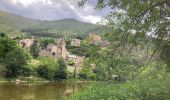 Trail Walking Gorges du Tarn Causses - Sainte enfiliez - Photo 3