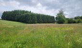Randonnée Marche Houffalize - rando engreux 8-06-2025 - Photo 2