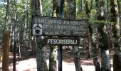 Tour Wandern Pescasseroli - Col monte Tranquillo 17 km - Photo 6