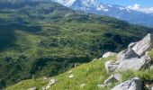 Trail Walking Passy - Plaine joue  - Photo 3