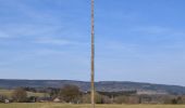 Tocht Stappen Stoumont - 20250309 - TOTEMUS RAHIER - - Photo 3
