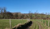 Tocht Stappen Blieberg - A la découverte de Hombourg - Photo 18