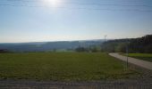 Trail On foot Schopfloch - Oberiflingen-Dießen - Photo 3