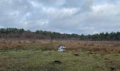 Tour Wandern Belœil - Stambruges, Beloeil, les Ecacheries, mer de sable, Stambruges - Photo 9