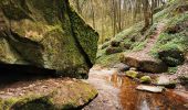 Tocht Te voet Gräfendorf - Schwarzer Fuchs, Rundwanderweg Gräfendorf - Photo 10