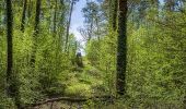 Trail On foot Ebern - Großer Rundweg Fledermaus - Photo 3