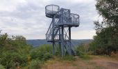 Trail Walking Vresse-sur-Semois - Promenade de la Croix - Bohan - Photo 11