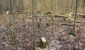 Trail Walking Kelmis - Kelmis/La Calamine 10 Km - Photo 1