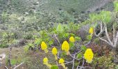 Tocht Stappen Santa Brígida - Cratère de Bandama (Gran Canaria) - Photo 7