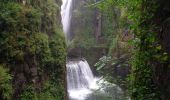 Trail Walking Les Planches-en-Montagne - Gorges Langouette et Malvaux 12.7.24 - Photo 4