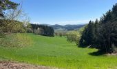 Randonnée Marche Chausseterre - Les Faures via la cabane du Maquis - Photo 4