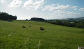 Tocht Mountainbike Virton - Saint-Mard II  -  Balade_VTT_12kms  - Photo 12