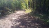 Trail Walking Baume-les-Dames - PONT LES MOULINS - Photo 7