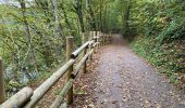 Percorso Marcia Durbuy - Durbuy belle boucle depuis le centre - Photo 1