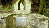 Tour Zu Fuß Bièvre - Se mouvoir et s'émouvoir au gré de l'Ardenne insoupçonnée. Parcours complet - Photo 7