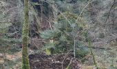 Trail Walking Camors - PR_56_Camors_BA_02_L-Eau_Circuit1b_20230218 - Photo 4