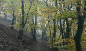 Trail On foot Edertal - Rundwanderweg Buhlen - Photo 8