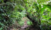 Tour Wandern Saint-Claude - Guadeloupe - Chute du Galion - La Citerne - Photo 2