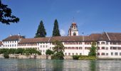 Tour Zu Fuß Laufen-Uhwiesen - Nohlbrücke - Wehrbrücke Rheinau - Photo 10