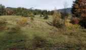 Excursión Senderismo Arâches-la-Frasse - Les Carroz, Mont Favy, pierre à Laya, Araches, remontée par les Nantes praz rôti, retour par les grangettes - Photo 9